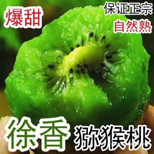 ���ü�h����J���ҾG���殐���������r�����ЋD�����������
