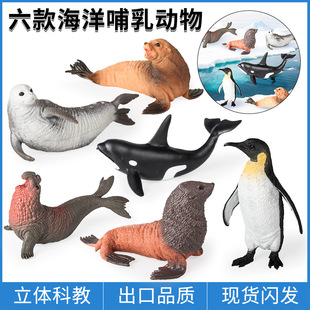 �羳���������ģ�ͷ������Z���{�������󺣱����L���b��ߔ[��