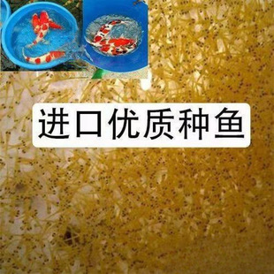 �\��ˮ���~�缃�N�ձ��t���Ѻʹ�����ɫ�p���^�p�~��ˮ�\��С���~