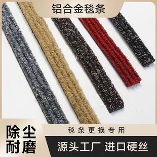 Longyu Replacement Carpet Strip Aluminum Alloy Floor Mat Embedded Dust Removal and Mud Scraping Customizable Straight Stripe Floor Mat