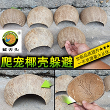 ���x��ܶ�Ѩ�[��Ҭ�������،m֩��ϐ�Ӽľ�з���������x���쾰