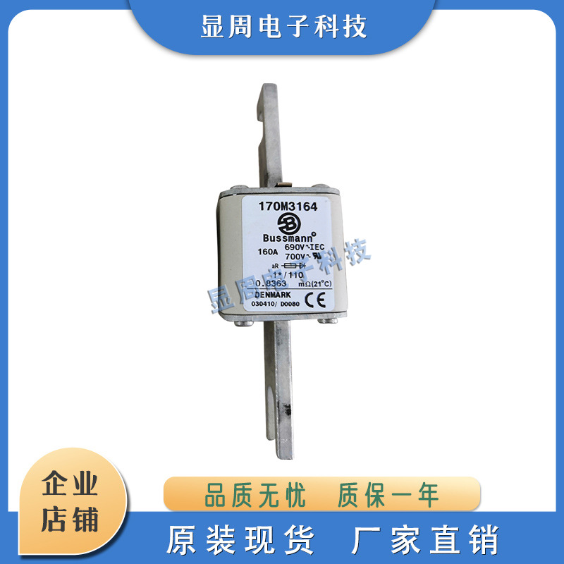 熔断器170M3163 3164 3165 3166 3167 3168 3169 3170 3171 3172
