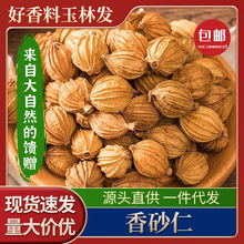 四川香砂仁散装批发香砂仁香料卤料火锅底料炖汤炖肉卤料去腥增香