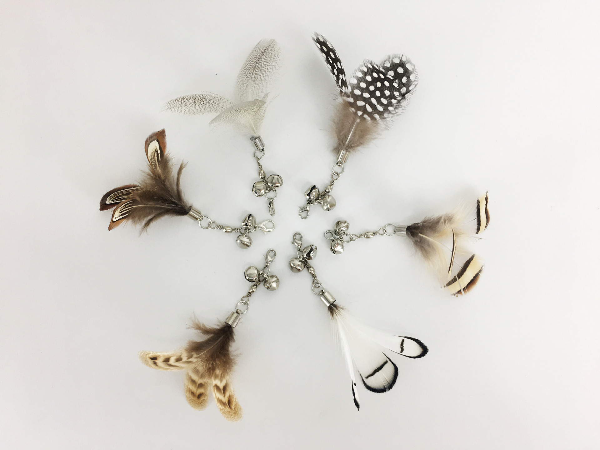 微信图片_20210913135710_副本_副本