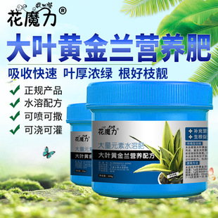 ���~�S���m���àI�B���S��Ƥ�m�辰ͥԺ�҃��^�~ֲ���ļ��B�o��