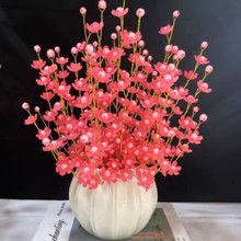 ӿͷˤƿ ~Ҹϰdiy ͏d[