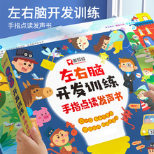 幼儿左右脑开发训练手指点读发声书婴幼儿童读物专注思维游戏书籍