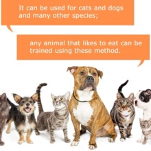 ���l���R�d���u��������Ӗ������ �lȮ�ю���朹����ӹ���Ʒ