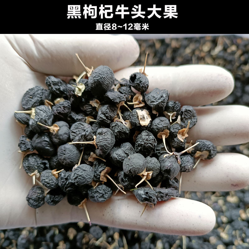 Mens Herbal Tea Blend Rou Cong Rong Ling Zhi Xi Yang Shen Huang Qi Huang Jing Gou Qi 110g 10 Bags Cold Brew Wellness Tea specifications