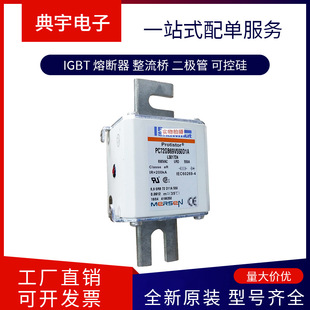 French Fuse Nh00Gg40V160-1 Nh1Gg40V35-1 Nh1Gg40V50-1