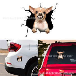 D-2138创意立体3D可爱狗狗汽车贴纸 吉娃娃装饰小贴后窗贴拉花贴