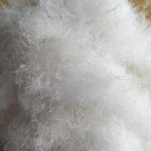 ��z�q�z�ָ� ��ë������q���l ���z�߽q�z���b�z �w�zë�z�ֽz