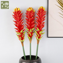 �����֧���� ���괺�����\���^���滨 �Ҿ��b����l���滨������