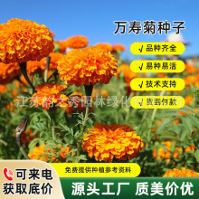 f۾ջNļNͺͺ@ͥԺѻ^ҰMϷN