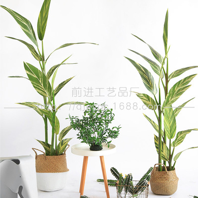 北欧大型橱窗仿真植物落地花叶良姜树假盆栽室内绿植摆件造景装饰|ms