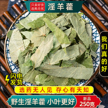 正品新鲜干货野生淫羊藿叶500g中药材羊角叶仙灵脾男性泡茶泡酒料