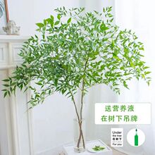 ˮ҃ȺBֲRRľƽGֲܛbGr֦