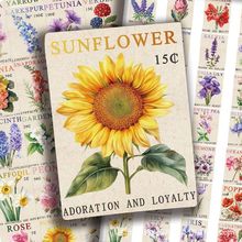 50���͹Ů��󻨻�ֲ���N��ˇ�g�����b����~�Pӛ���֙C��diy�N��