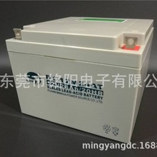 赛特12V24AH蓄电池BT-12M24AT海湾消防主机专用UPS电源直流屏电瓶