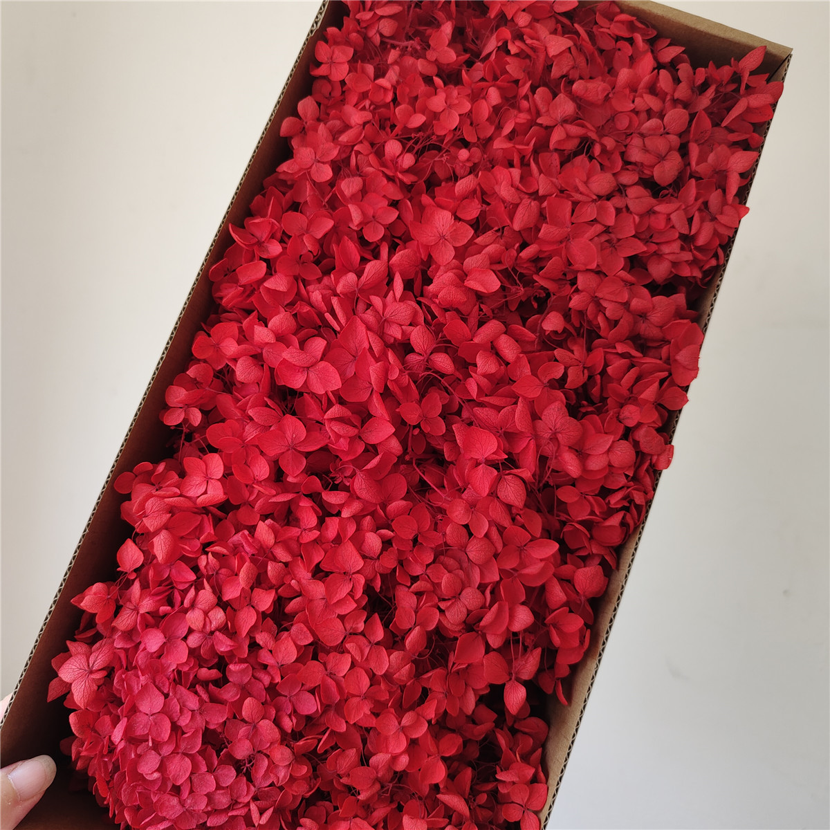 Flor eterna Hortensia Anna pequeña hoja flor seca flor real árbol de Navidad ventilador hecho a mano ramo DIY material paquete flor
