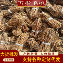 ��ָë���Ҝ��� ���l���NҎ�� ���Ѹ�؛��ָë�ҟo��