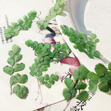 ����ֲ��˱��F��ާ���~�ӽ̌W���z�֙C��̨��������ͯ�ֹ����ϰ�