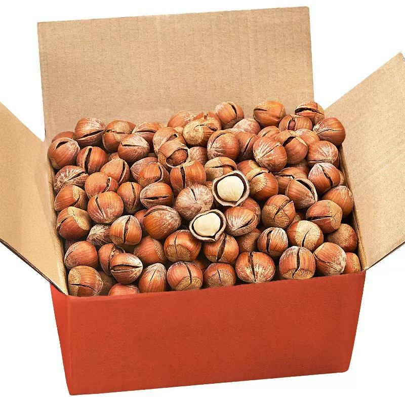 Open large hazelnut 500g original fried American fresh nut snacks non-wild Northeast specialty leisure Qiling