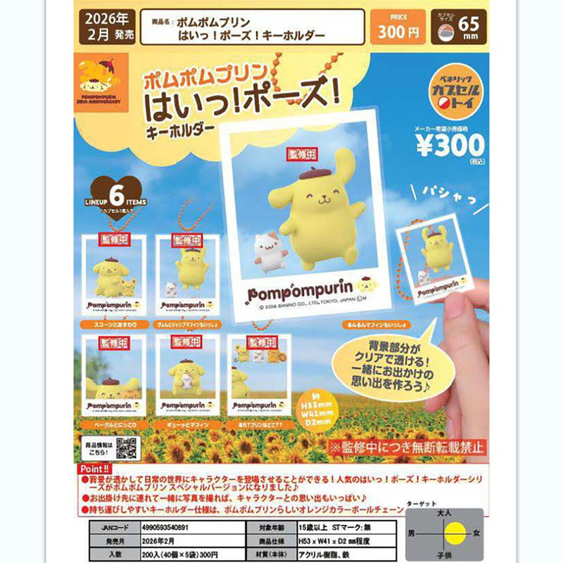 Japanese Authentic Gashapon Wholesale Benelic Sanrio Pompompurin Happy Moment Photo Frame Acrylic Pendant Series 2 Japanese Authentic Gashapon Wholesale Benelic Sanrio Pompompurin Happy Moment Photo Frame Acrylic Pendant Series 2