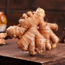 优普云南小黄姜生姜嫩老姜整件包邮当季现挖蔬菜姜一件代发