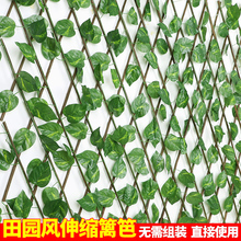 ����ֲ���ٗl�ړ��̨ͥԺ�o�ڼٻ�������s�h��ľ�|�řڻ��܇���