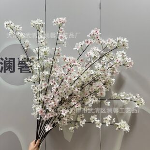 ����2��ѻ�֦�쾰 �滨���滨��c�b��l�����T�����b��ѻ�