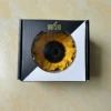 Golden yellow black heart 9-10cm single flower