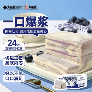 �����D�{ݮζ�o߅��˾500g���ʳƷ�����Ƭ�A�ĠI�B��ʳ���c