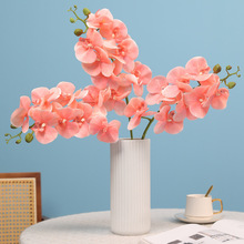 �羳8�^���������m���滨�S�Ҹ߼���ins�L�Ƶ�ҾӔ[����������m