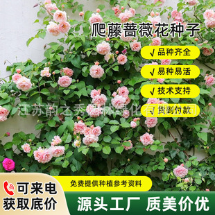 �ļ����N �Nޱ��õ���ٱ����� ���N����������ֲ�������컨���׷N