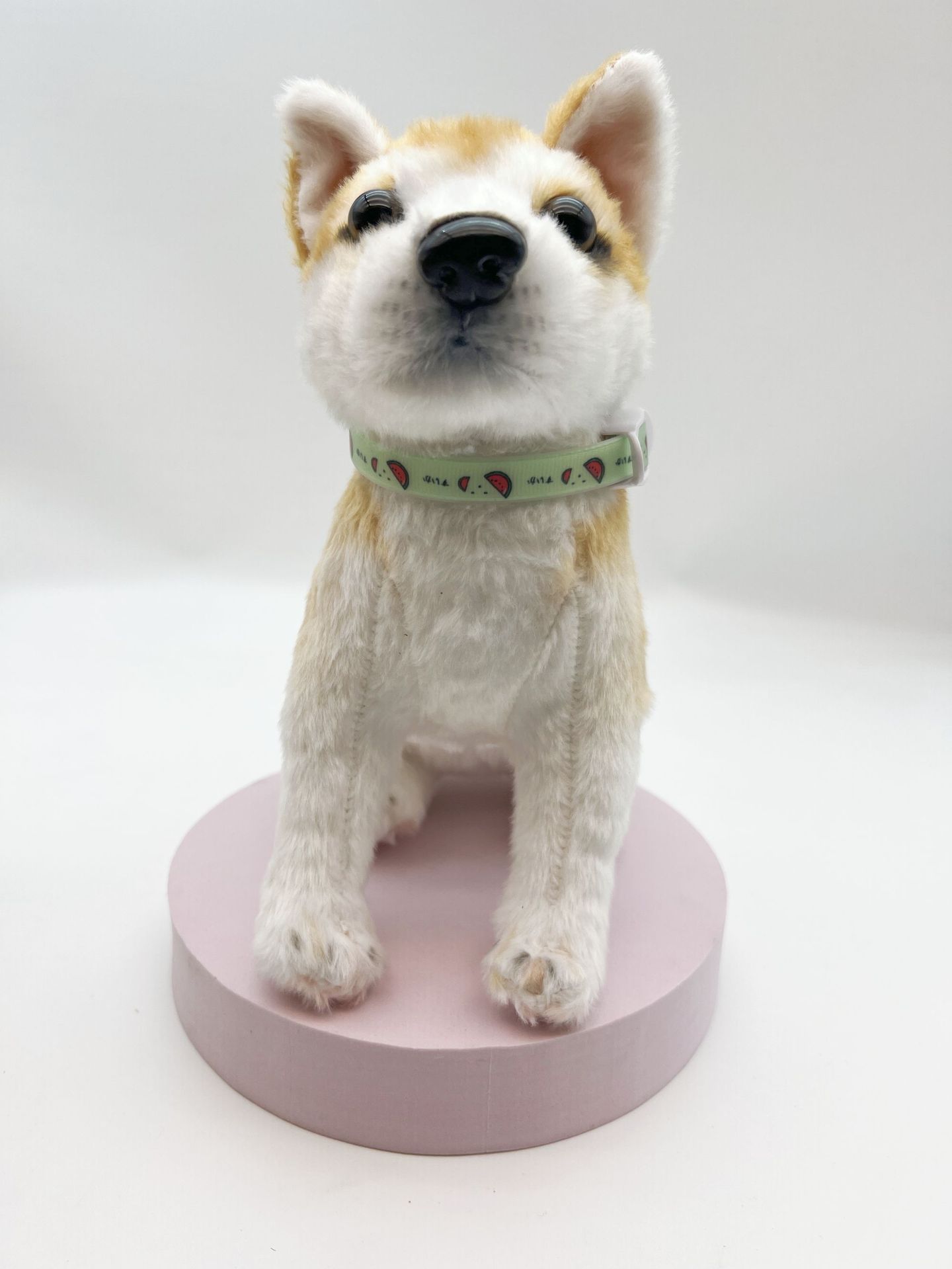 Collar repelente de insectos para perros, anillo repelente de mosquitos para gatos, eliminación de pulgas, prevención de piojos, ácaros, eliminación de pulgas, collar, suministros para mascotas