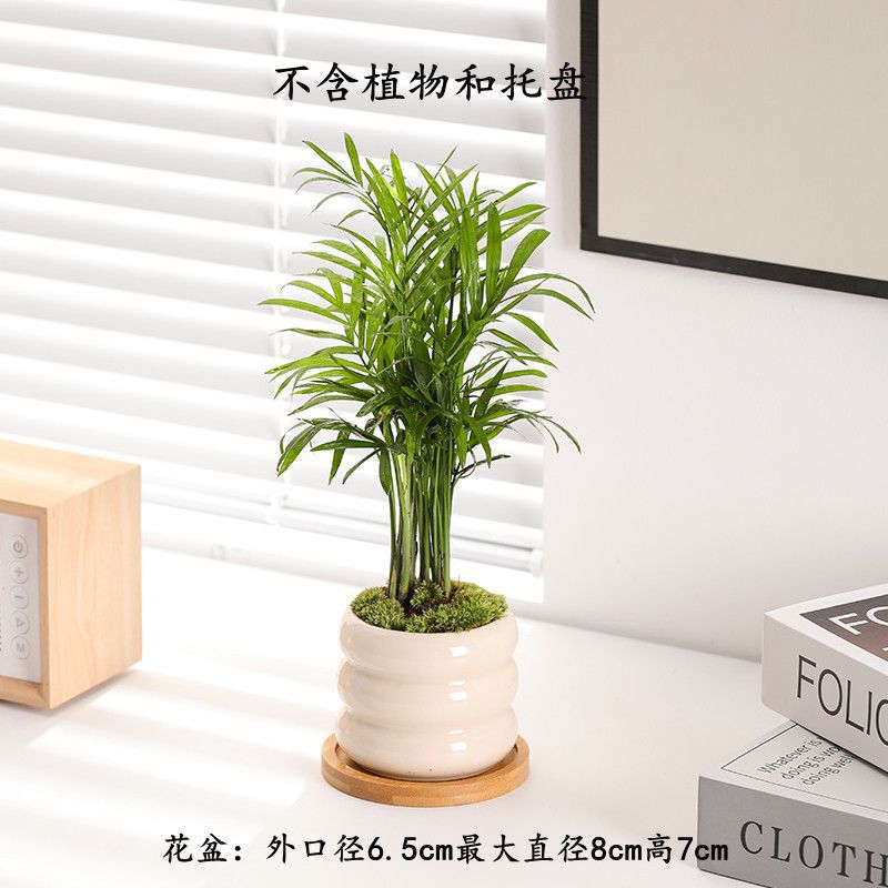 【6个6色】多肉花盆陶瓷创意简约个性小清新流釉阳台多肉花盆|undefined