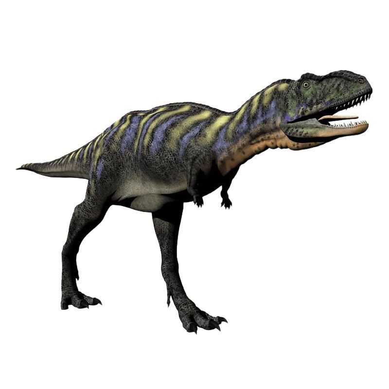 Simulación de dinosaurios modelo de gran cabeza hinchada al aire libre caucho impermeable máquina móvil eléctrica producción de dinosaurios de recreo