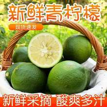 青檸檬四川安岳檸檬新鮮水果當季現摘青檸1斤2斤3斤5斤批發