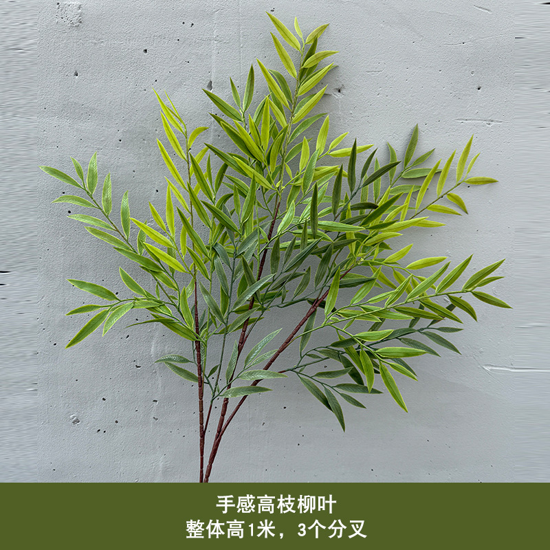 손으로 느껴지는 높은 가지 버드나무 잎 - 녹색