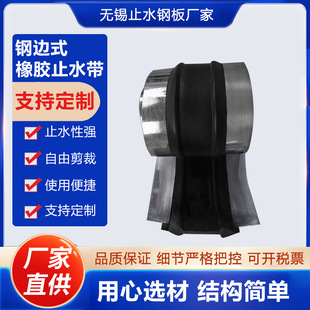 Embedded Rubber Water Stopper Type 651 External Removable Steel Edge Type Water Expansion Water Stopper Strip