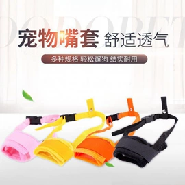 电脑桌;衣帽架;其他地板