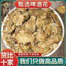 ơ�ƻ��ɻ��»���ș��500g��Ʒ��؛Ұ�ƻ��½����ơ�ƽ�ĸ�����