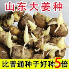 ɽ�|��̖�󽪽��N�����N�ӎ�ѿ�Ͻ��N���S���Nֲ�罪�Nѿ����ɢ�b