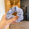 Blue small check