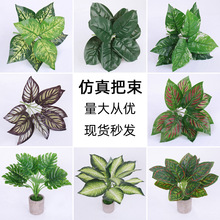 Gֲ辰bֲ~ӿ͏dˇܛbGֲ쾰G~ֲ