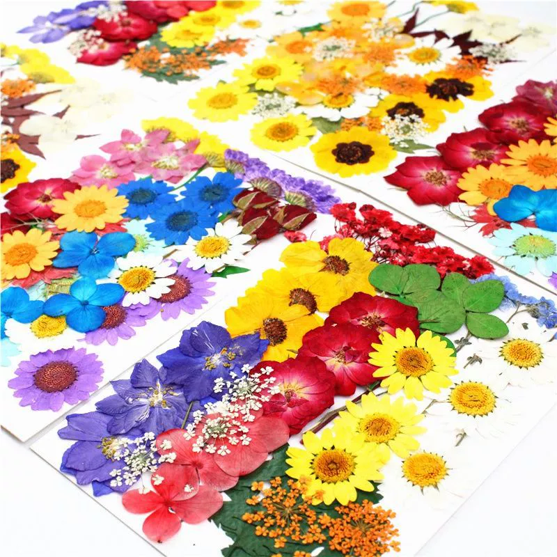 Сочетание тиснения сушеных цветочных материалов