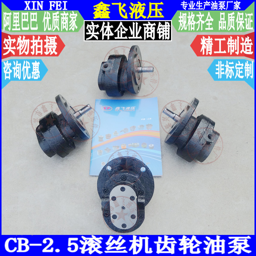 CB-2.5齿轮油泵 山东掖县台钳厂Z28-75滚丝机泵青岛生建机械厂80A