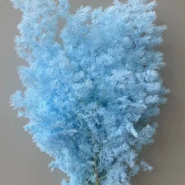 永生花;鲜花花艺制品;干花