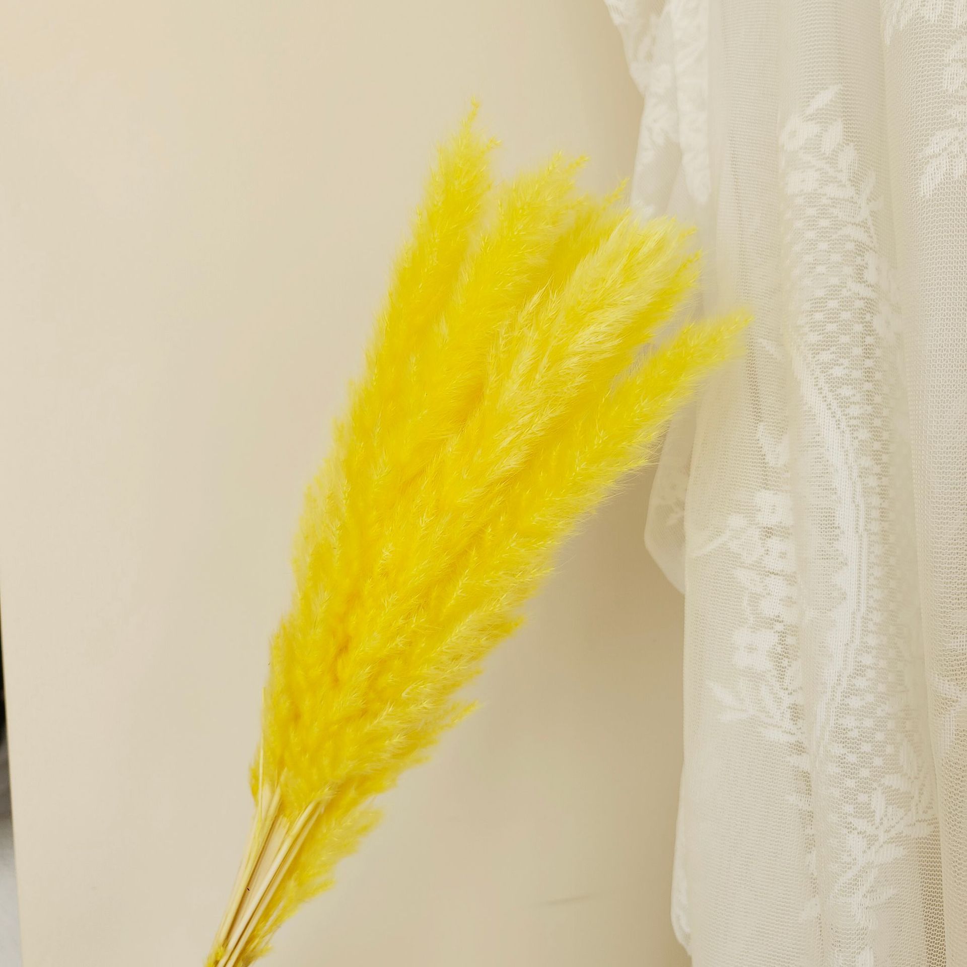 노란색 가지 15개